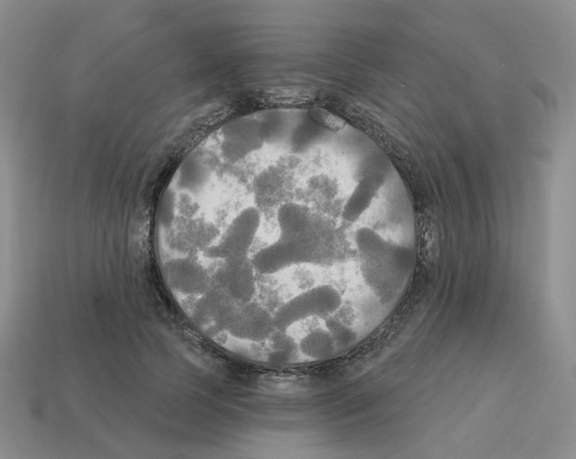 X0000112820745200910021202