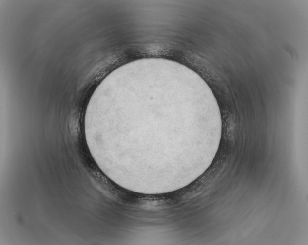 X0000112820746200910021202