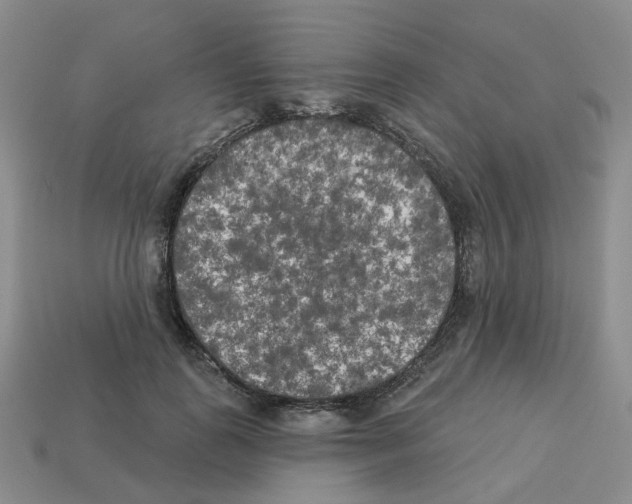 X0000112820747200910021202