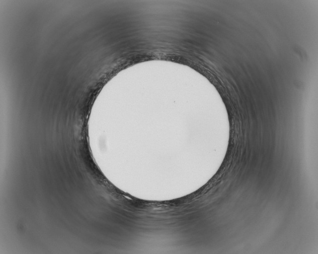 X0000112820750200910021202