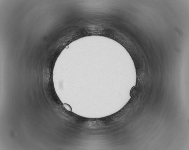 X0000112820752200910021202