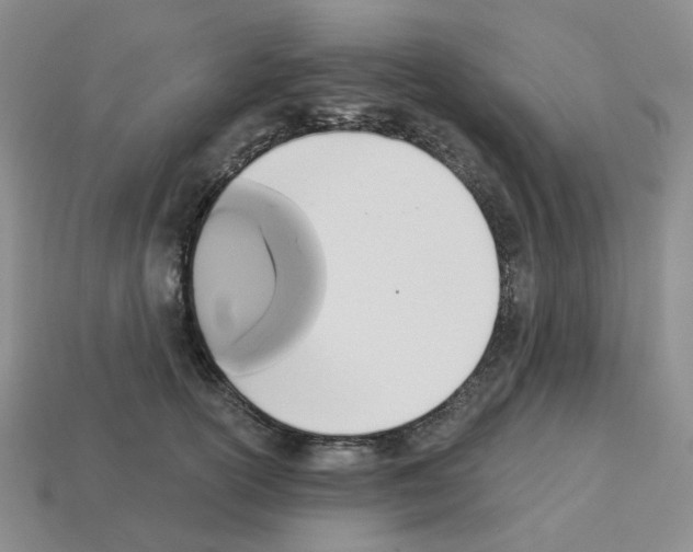 X0000112820754200910021202