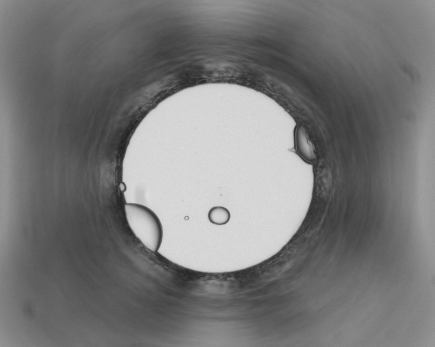 X0000112820756200910021202