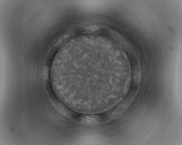 X0000112820758200910021202