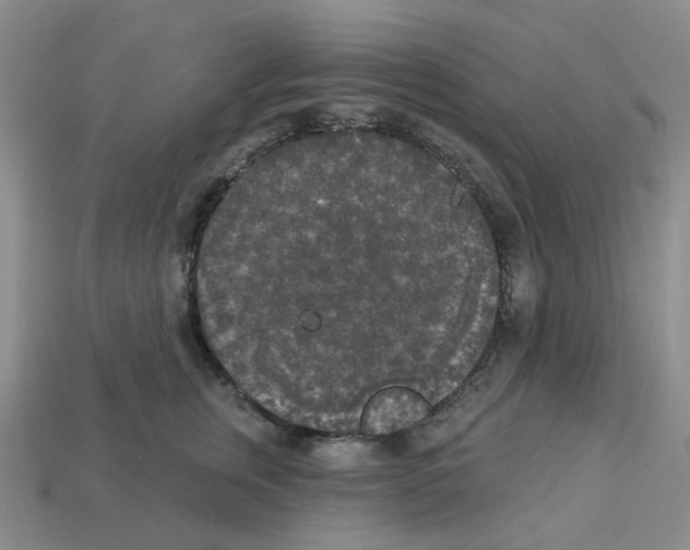 X0000112820759200910021202