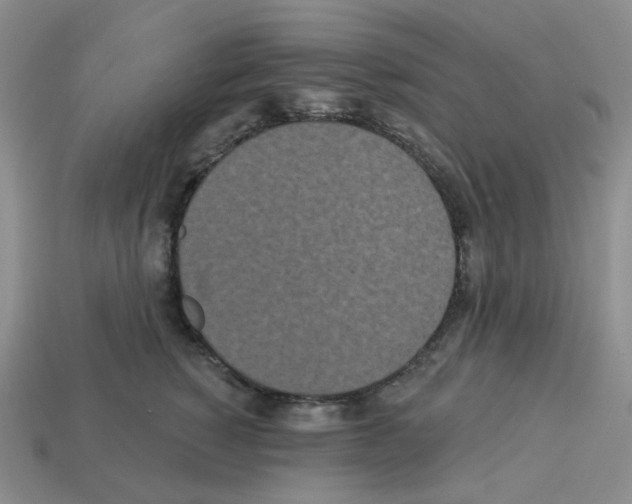 X0000112820760200910021202