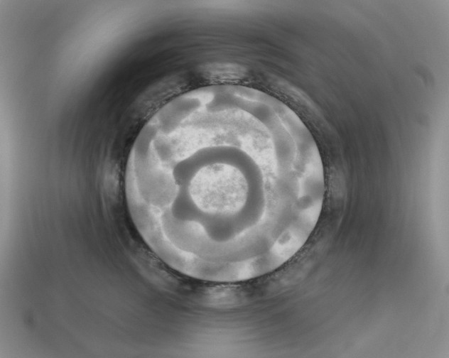 X0000112820761200910021202