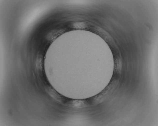 X0000112820762200910021202