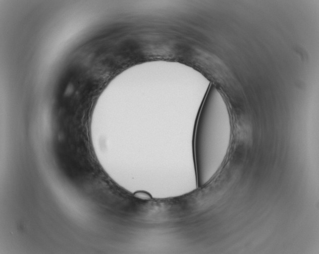 X0000112820764200910021202