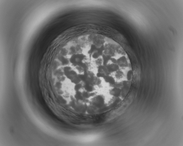 X0000112820765200910021202