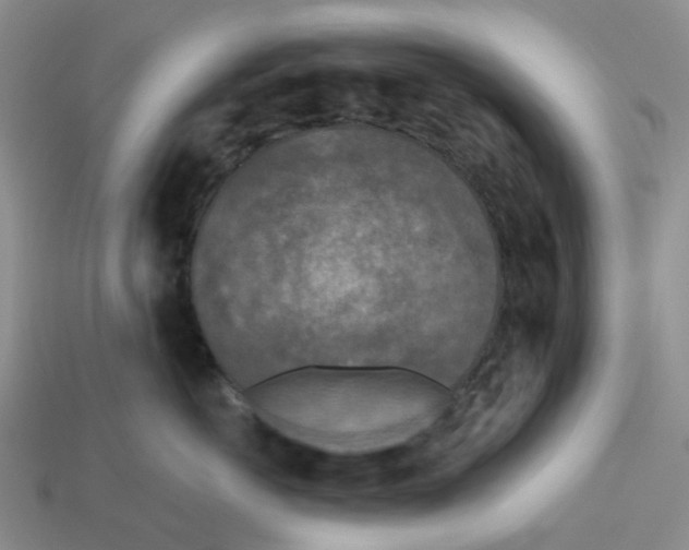 X0000112820766200910021202