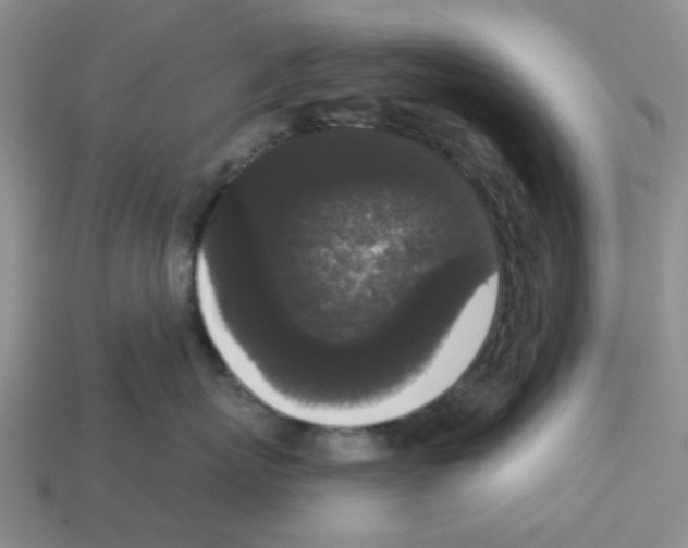 X0000112820767200910021202