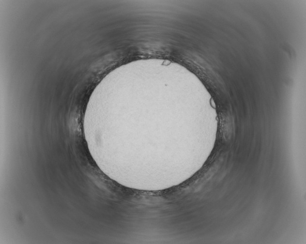 X0000112820770200910021201