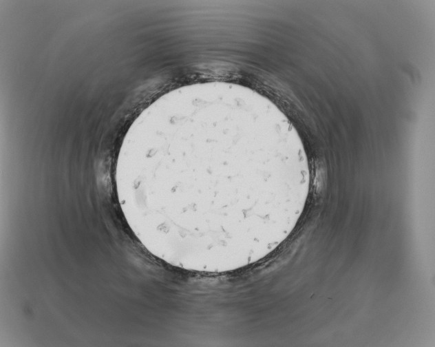 X0000112820771200910021201