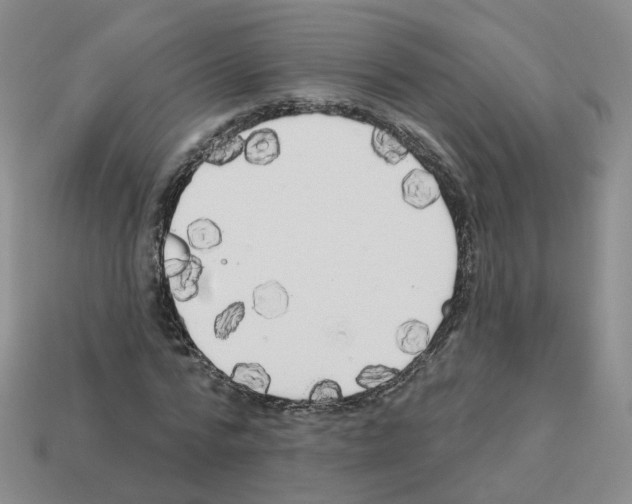 X0000112820776200910021201