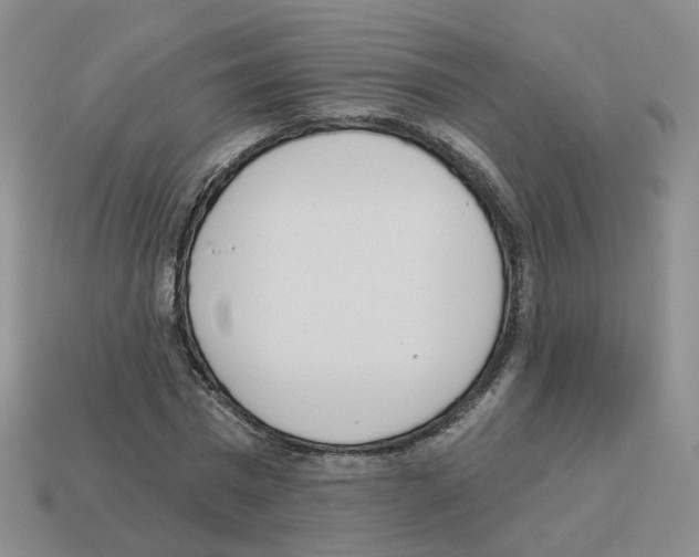 X0000112820777200910021201