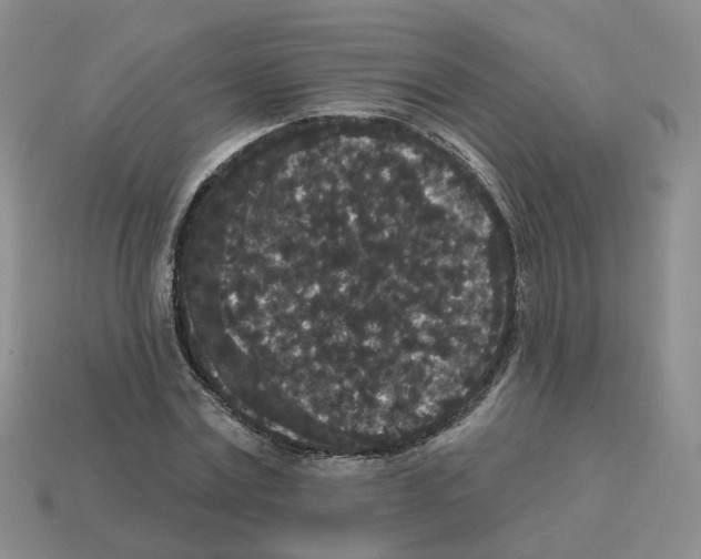 X0000112820779200910021201