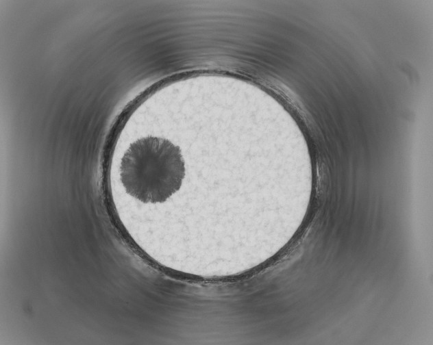 X0000112820780200910021201