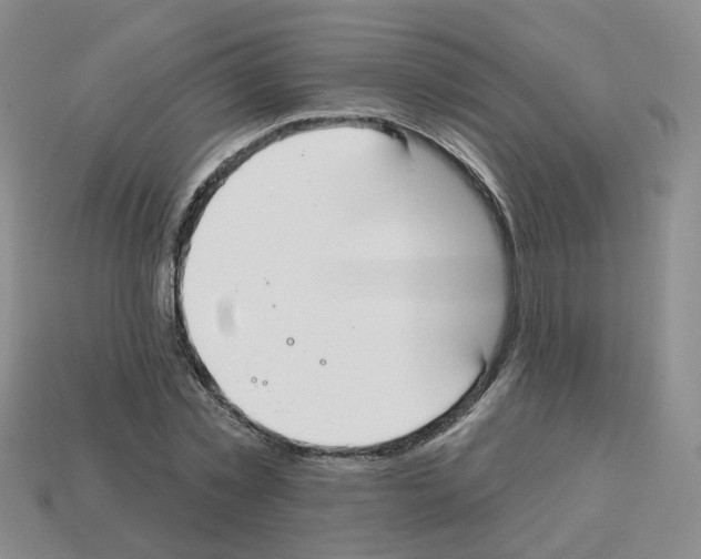 X0000112820781200910021201