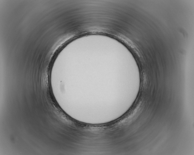 X0000112820782200910021201