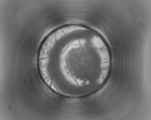 X0000112820783200910021201