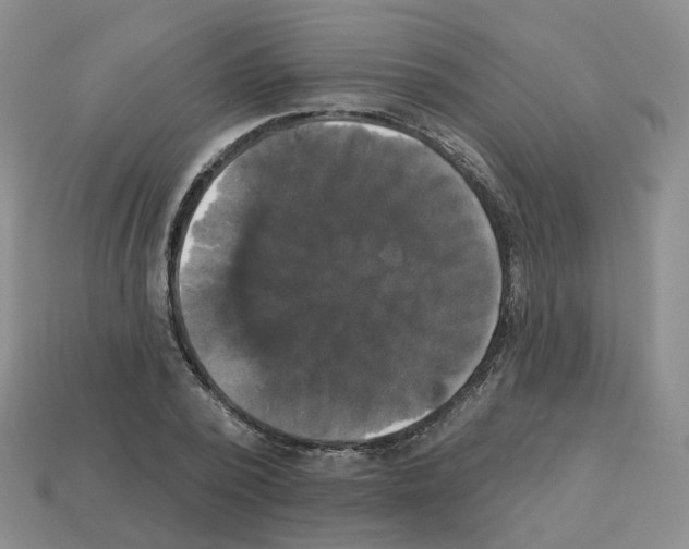 X0000112820784200910021201