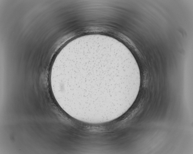 X0000112820786200910021201