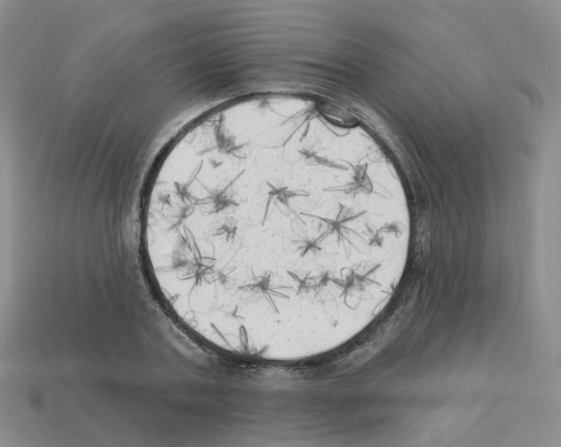 X0000112820787200910021201