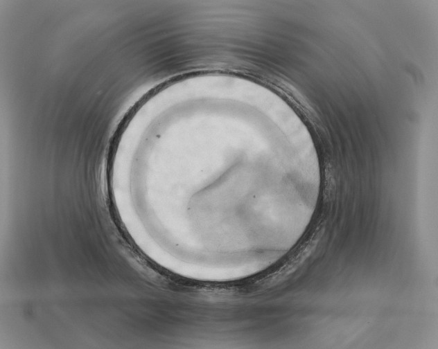 X0000112820788200910021201