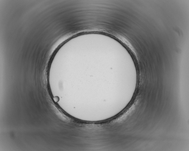 X0000112820789200910021201