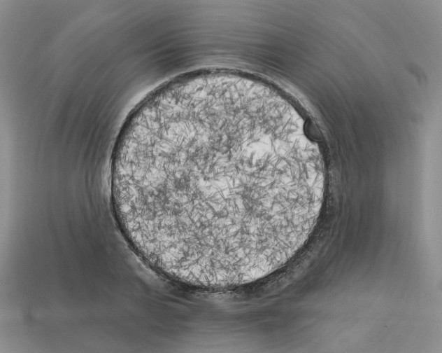 X0000112820791200910021201