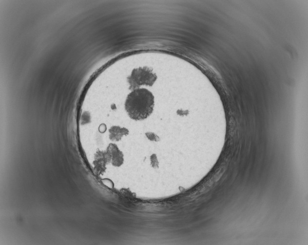 X0000112820792200910021201