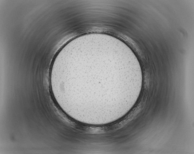 X0000112820794200910021201