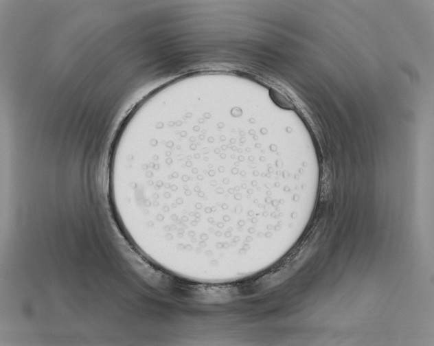 X0000112820795200910021201