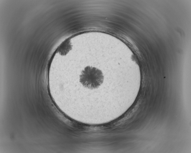 X0000112820796200910021201