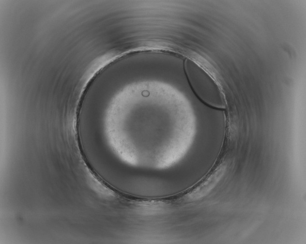 X0000112820797200910021201