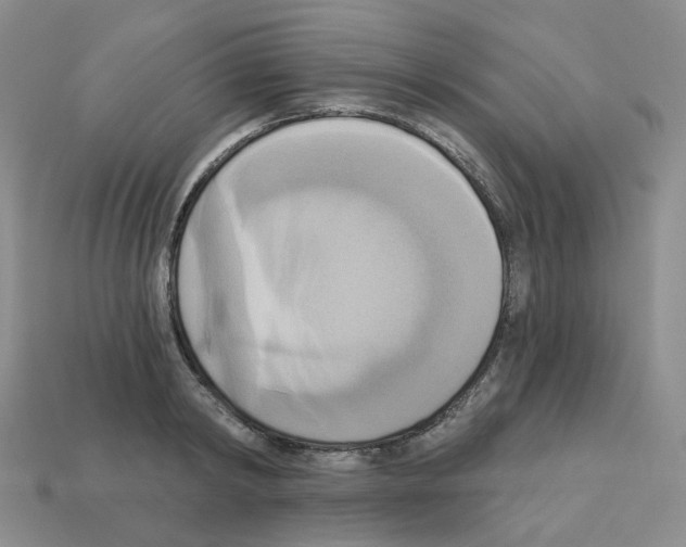 X0000112820798200910021201