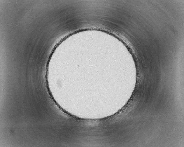 X0000112820799200910021201