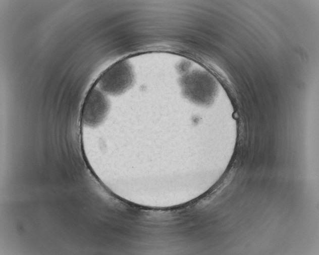 X0000112820800200910021201