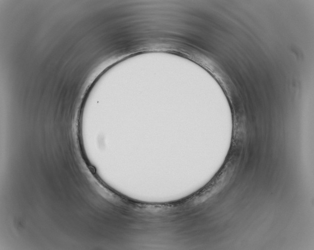 X0000112820803200910021201