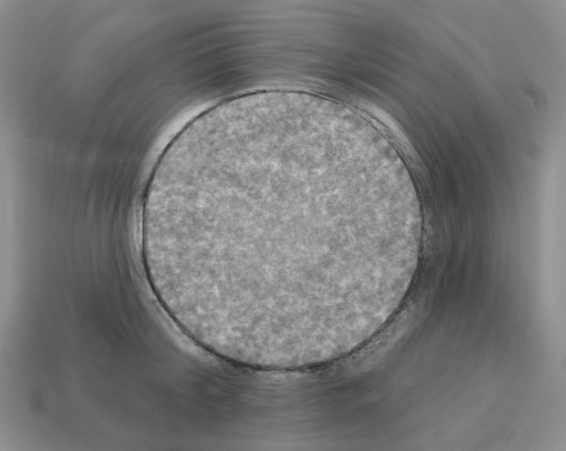 X0000112820804200910021201