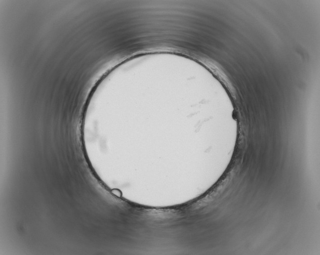 X0000112820805200910021201