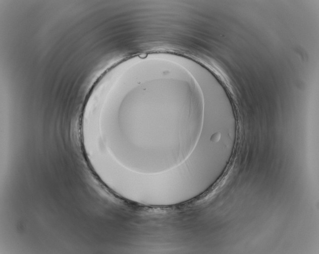 X0000112820806200910021201