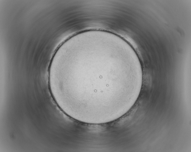 X0000112820807200910021201