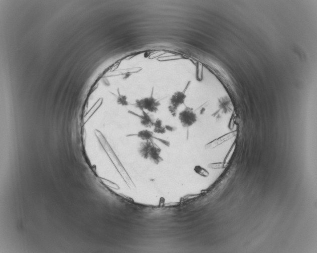 X0000112820808200910021201