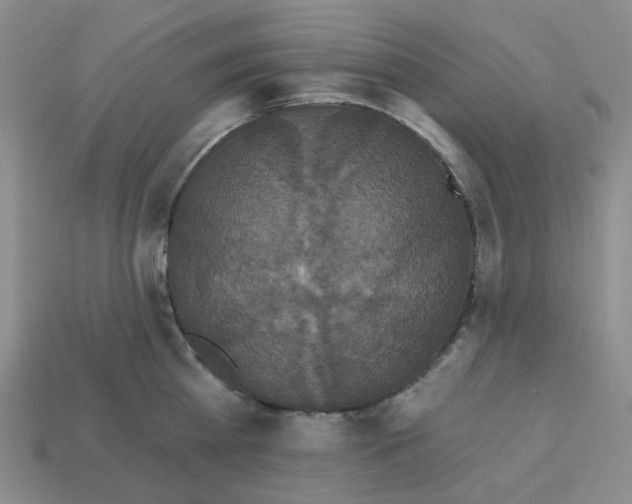 X0000112820809200910021201