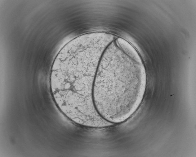 X0000112820810200910021201