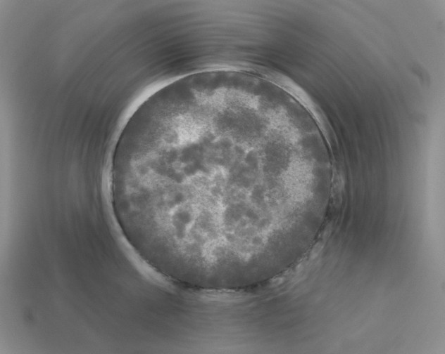 X0000112820811200910021201