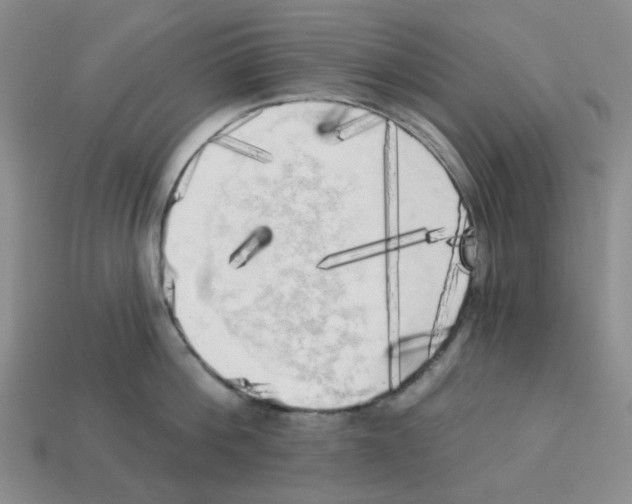 X0000112820812200910021201