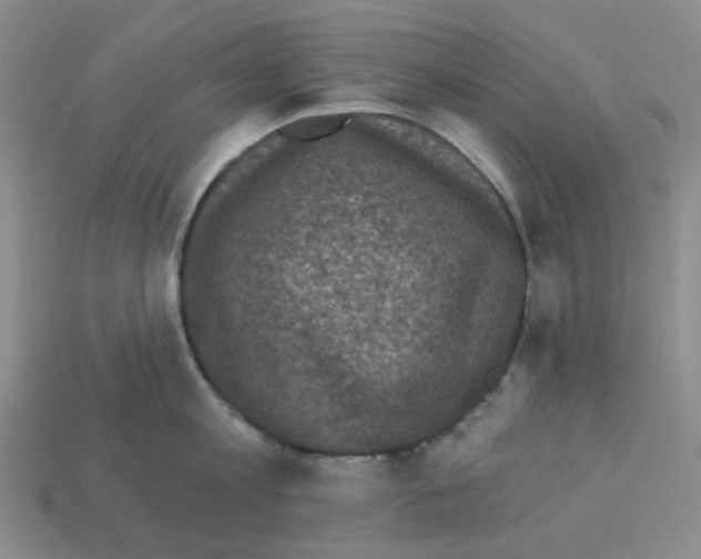 X0000112820813200910021201